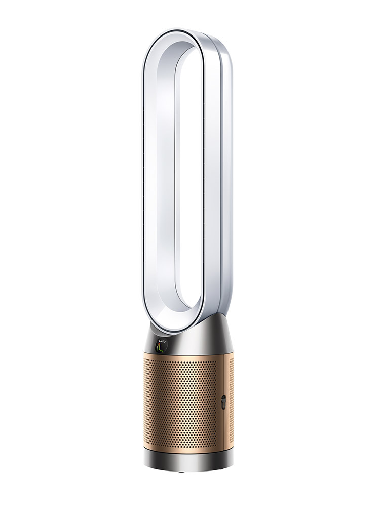 Dyson Purificatore Purifier Cool PC2 De-Nox